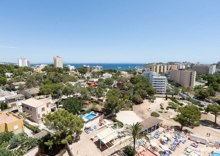 Globales Mimosa Hotel ปัลมาโนวา ภายนอก รูปภาพ